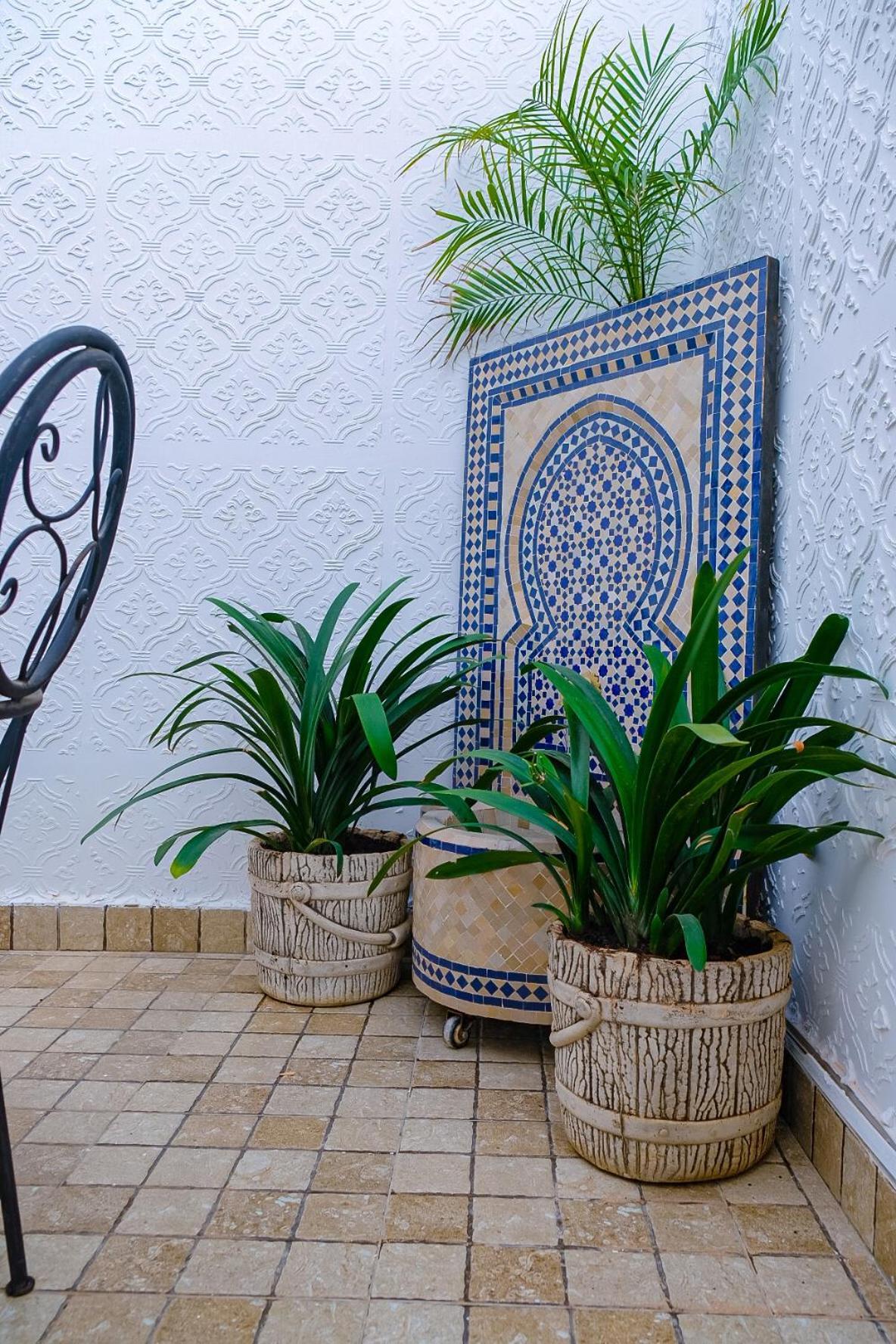 Dakhla Oasis Sidi Bennour